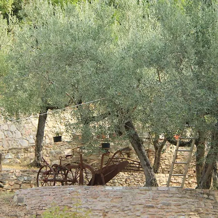 Il Renaiolo * Spello