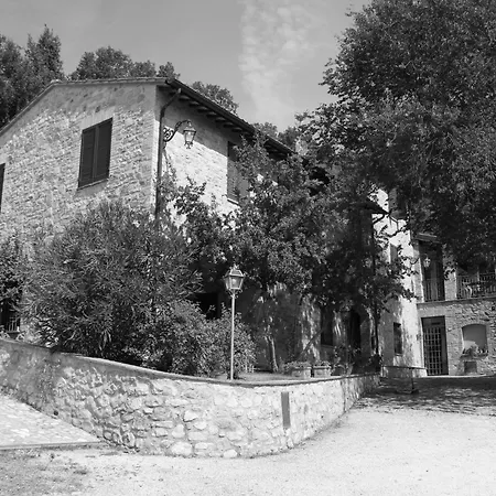 Agroturismo Il Renaiolo *