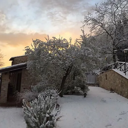 Il Renaiolo Alloggio per agriturismo Spello