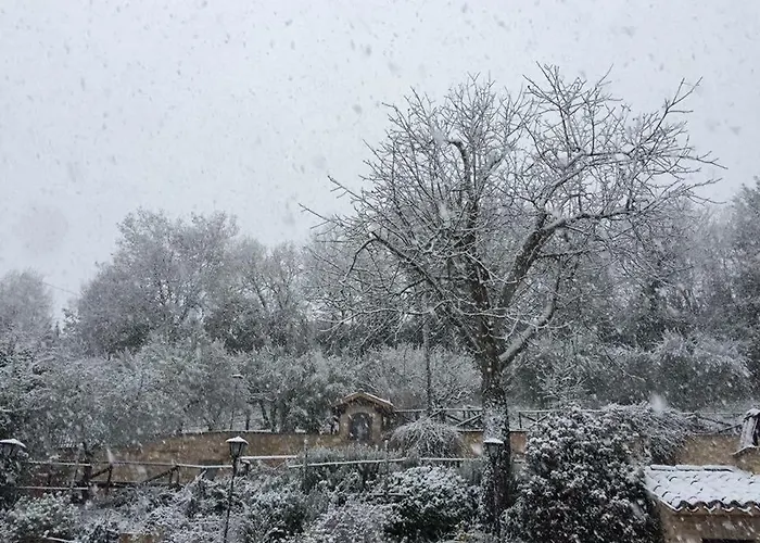 Gospodarstwo agroturystyczne Il Renaiolo