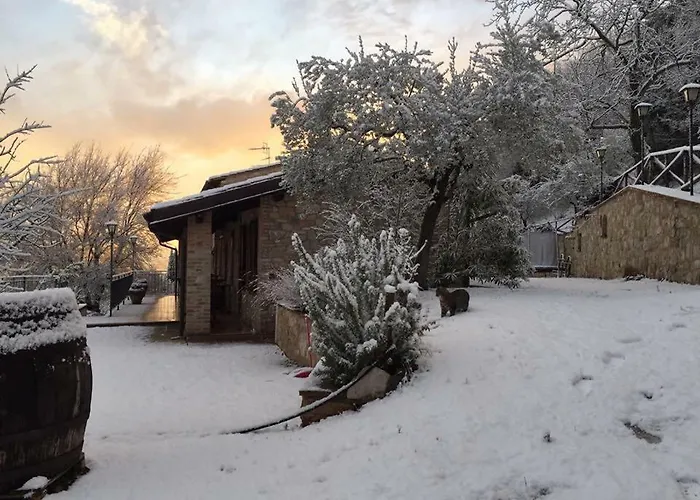 Gospodarstwo agroturystyczne Il Renaiolo *